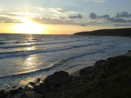 Emociones: clave del éxito